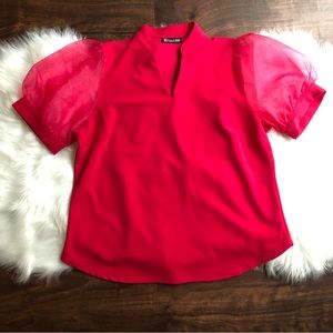 New York & Company Organza Puff Sleeve Washed, hung up to dry worn once